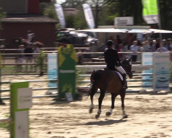Reitturnier Albersloh 2018