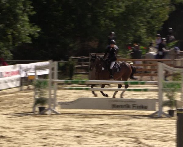 Reitturnier Albersloh 2018