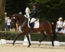 broodmare Santa de Medici (Trakehner, 2012, from Rheinklang)