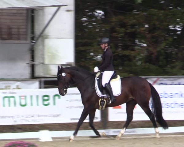 Reitturnier Meinerzhagen 2018