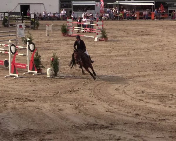 Reitturnier Siegen 2018