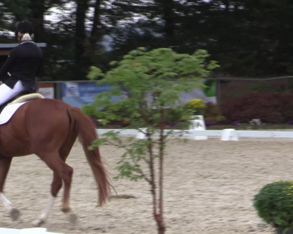 Reitturnier Meinerzhagen 2018
