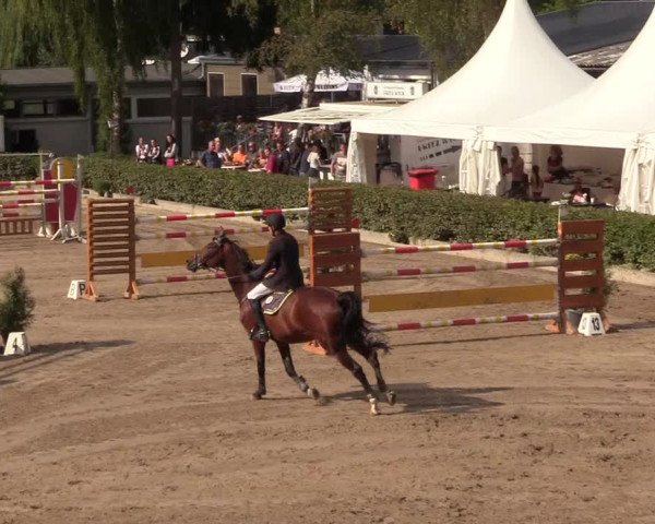 Reitturnier Siegen 2018