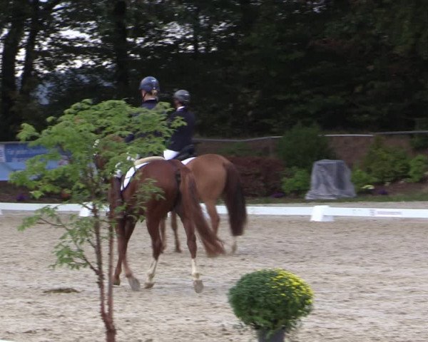 Reitturnier Meinerzhagen 2018