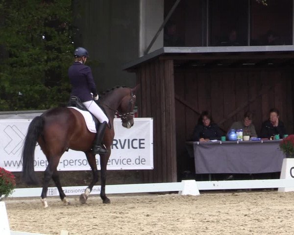 Reitturnier Meinerzhagen 2018