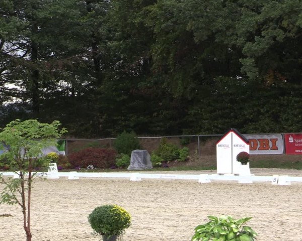 Reitturnier Meinerzhagen 2018