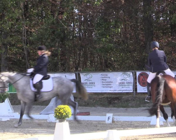 Reitturnier Meinerzhagen 2018