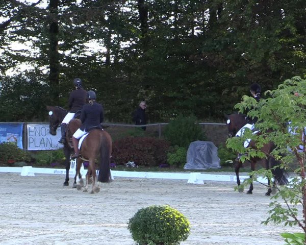 Reitturnier Meinerzhagen 2018
