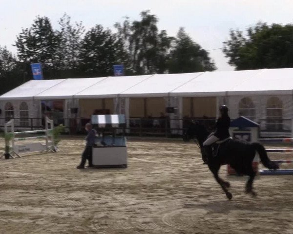 Reitturnier Albersloh 2018