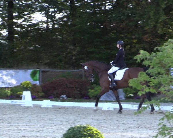 Reitturnier Meinerzhagen 2018
