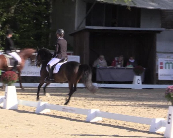 Reitturnier Meinerzhagen 2018