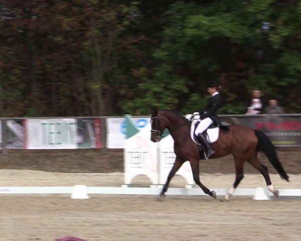 Reitturnier Meinerzhagen 2018