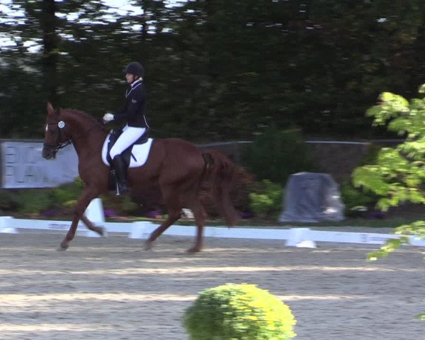 Reitturnier Meinerzhagen 2018