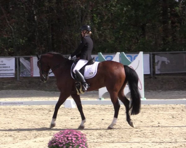 Reitturnier Meinerzhagen 2018