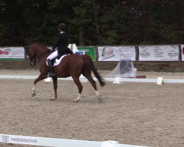 Reitturnier Meinerzhagen 2018