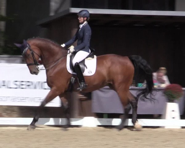 Reitturnier Meinerzhagen 2018