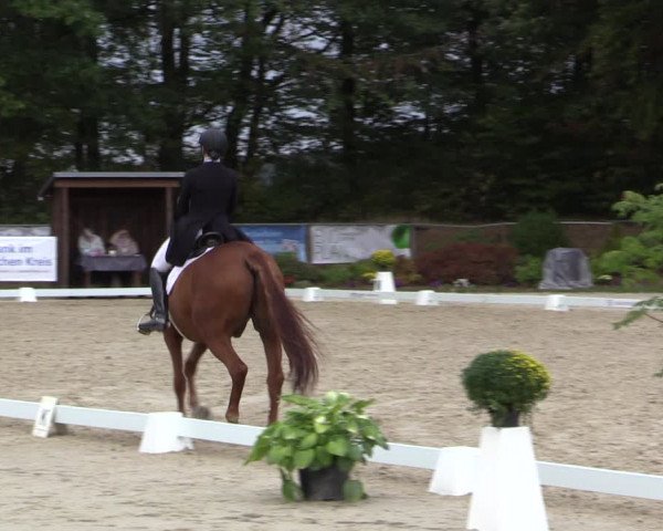 Reitturnier Meinerzhagen 2018