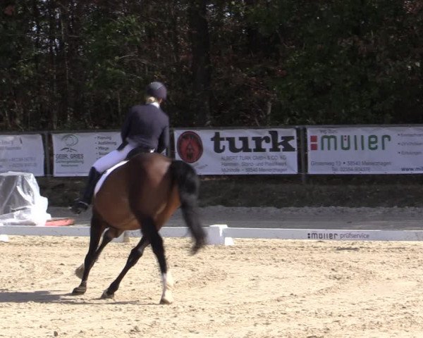 Reitturnier Meinerzhagen 2018