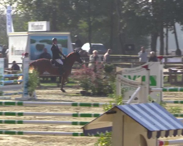 Reitturnier Albersloh 2018