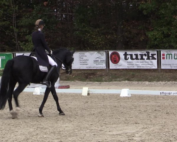 Reitturnier Meinerzhagen 2018