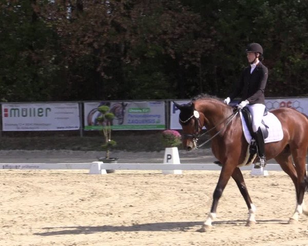 Reitturnier Meinerzhagen 2018
