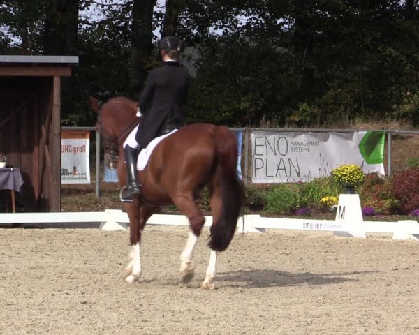 Reitturnier Meinerzhagen 2018