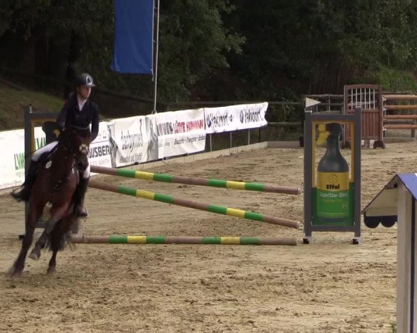 Reitturnier Albersloh 2018