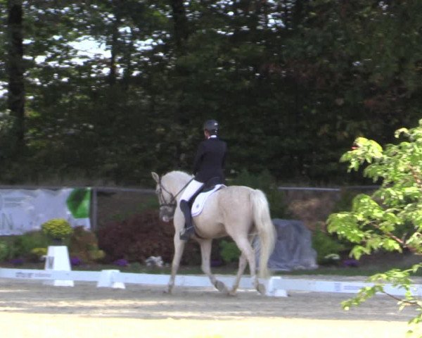 Reitturnier Meinerzhagen 2018