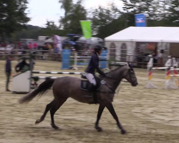 Reitturnier Albersloh 2018