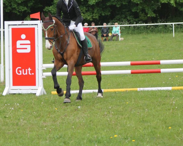jumper Claridge (Holsteiner, 2007, from Clarimo Ask)