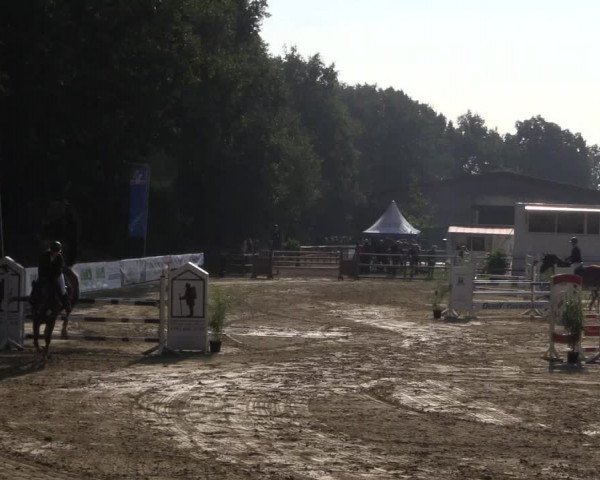 Reitturnier Albersloh 2018