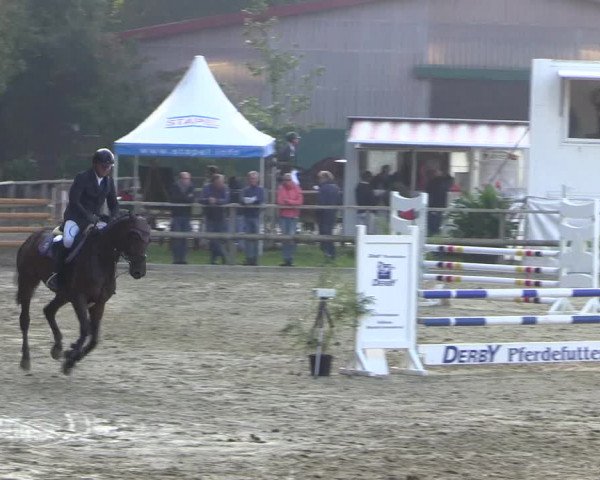 Reitturnier Albersloh 2018
