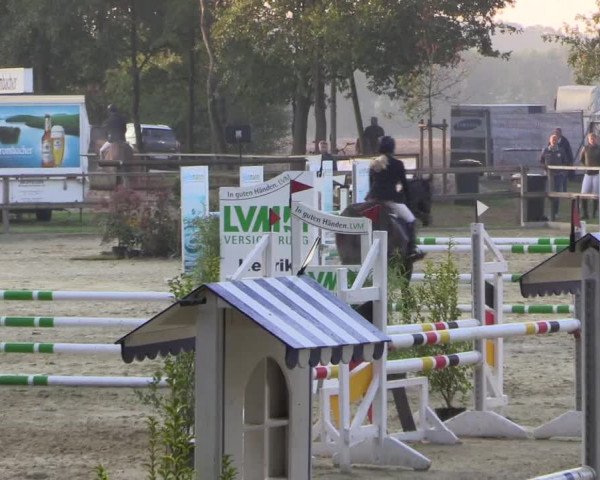 Reitturnier Albersloh 2018