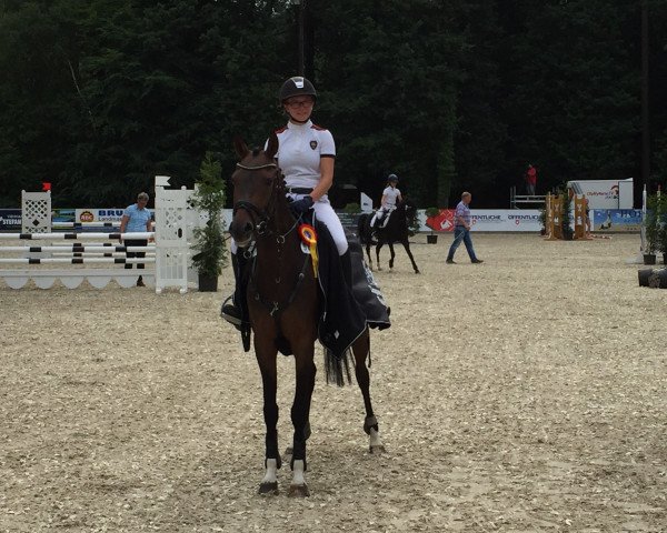 jumper Miratini SGN (German Riding Pony, 2012, from Miraculix)