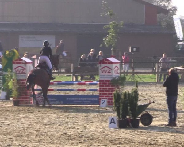 Reitturnier Albersloh 2018