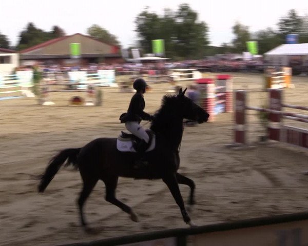 Reitturnier Albersloh 2018