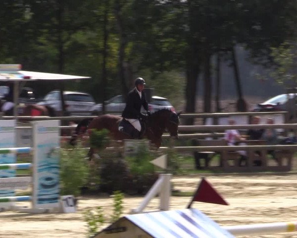 Reitturnier Albersloh 2018