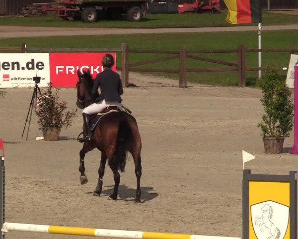 Reitturnier Westergellersen 2021
