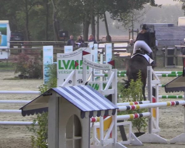 Reitturnier Albersloh 2018