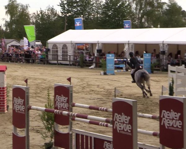 Reitturnier Albersloh 2018