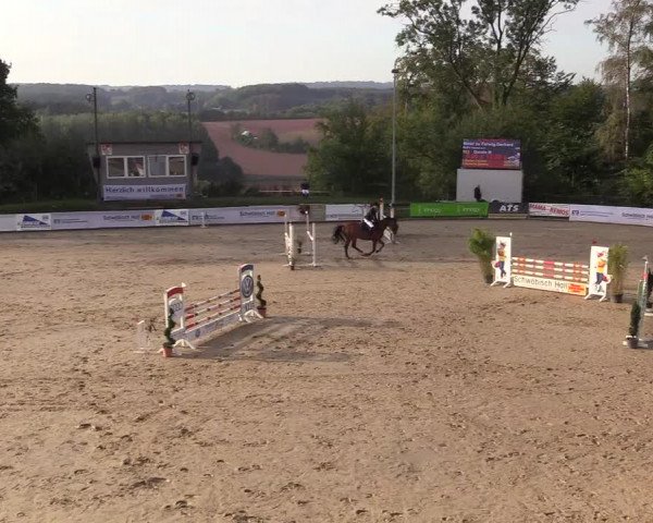 Reitturnier Buchenhof-Ibbenbüren 2018