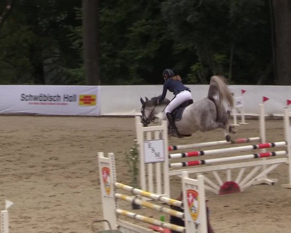 Reitturnier Buchenhof-Ibbenbüren 2018