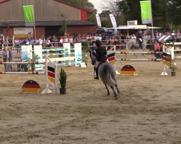 Reitturnier Albersloh 2018