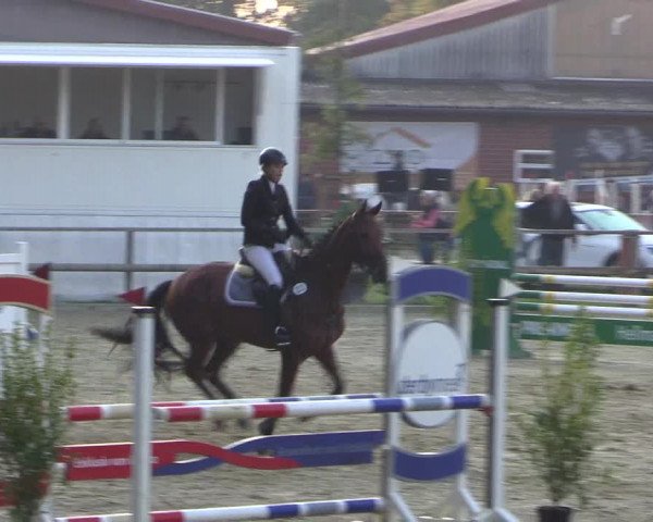 Reitturnier Albersloh 2018
