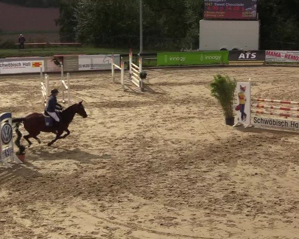 Reitturnier Buchenhof-Ibbenbüren 2018