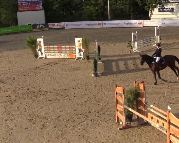 Reitturnier Buchenhof-Ibbenbüren 2018