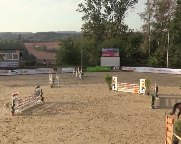 Reitturnier Buchenhof-Ibbenbüren 2018
