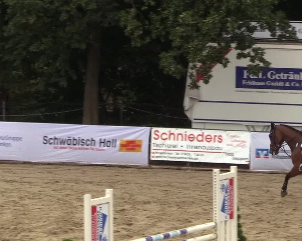 Reitturnier Buchenhof-Ibbenbüren 2018