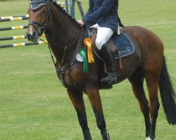 stallion Dree Boeken's Vistano (German Sport Horse, 2010, from Vulkano FRH)