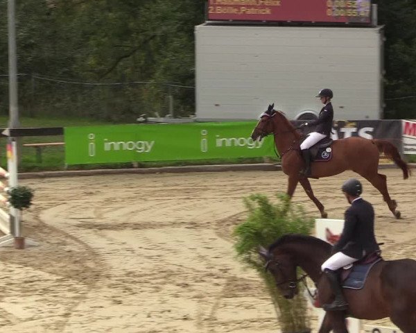 Reitturnier Buchenhof-Ibbenbüren 2018